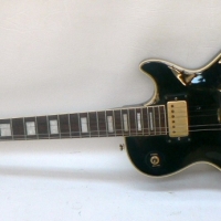 Black Onyx Les Paul copy electric GUITAR - Sold for $146 - 2009
