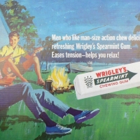 Large Vintage WRIGLEY' S SPEARMINT GUM Advertising Poster mounted on cardboard, 46 x 70 cm - Sold for $55 - 2009