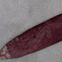 Large Aboriginal WOOMERA with resin to handle, serpent carving to one side, remnants of white ochre to end, (missing finial), approx 86 cm long - Sold for $171 - 2013