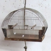 Hanging bird cage on wrought iron stand, c1940 - Sold for $73 - 2013