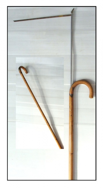 1900c Cane walking stick with concealed horse measure ...