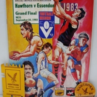 Grp lot HAWTHORN FOOTY items inc Hawthorn 1986 Premiers badge, Hawthorn 1972 season ticket & Hawthorn vs Essendon 1983 grand final football record - Sold for $21