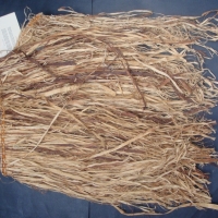 Aboriginal grass skirt from Yirrikala settlement NT - Sold for $24 - 2014