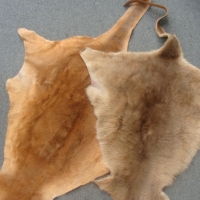 Pair of Kangaroo pelts - Sold for $92 - 2014