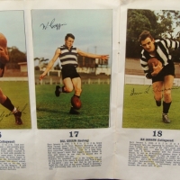 1965 Mobil Footy card album with complete set of cards - Sold for $73 - 2014