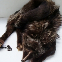 1930's Arctic fox fur stole with head and feet still present - Sold for $61 - 2014