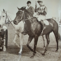 Photograph of the 1953 Melbourne Cup winner Wodalla - Sold for $30 - 2014