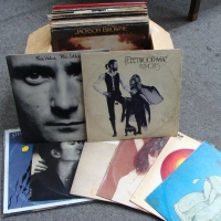 Box lot of LP records, incl Nina Simone, Patti Smith, Cat Stevens etc - Sold for $49 - 2015