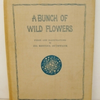 Hard cover book  - A Bunch of Wild Flowers - by Ida Rentoul Outhwaite - 6 tipped in colour plates 1st edition 1933A bunch of wild flowers - Verse and  - Sold for $110 - 2015