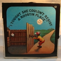 Victorian Politically incorrect coloured magic lantern slide - I Thought She Couldn't Resist A Roostin Place - Sold for $43 - 2015