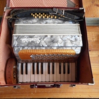 Vintage Cased FRONTALINI Piano Accordian - Grey Cracked ice body - Sold for $79 - 2015